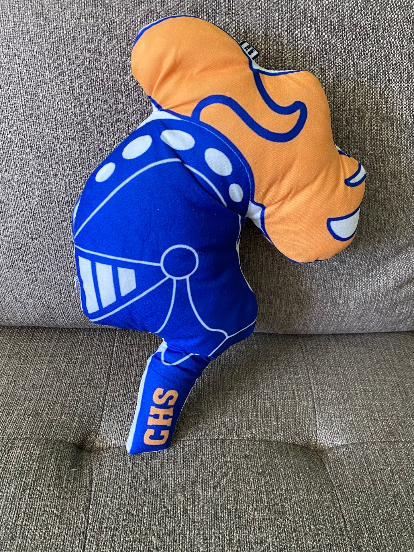 School Spirit Throw Pillows