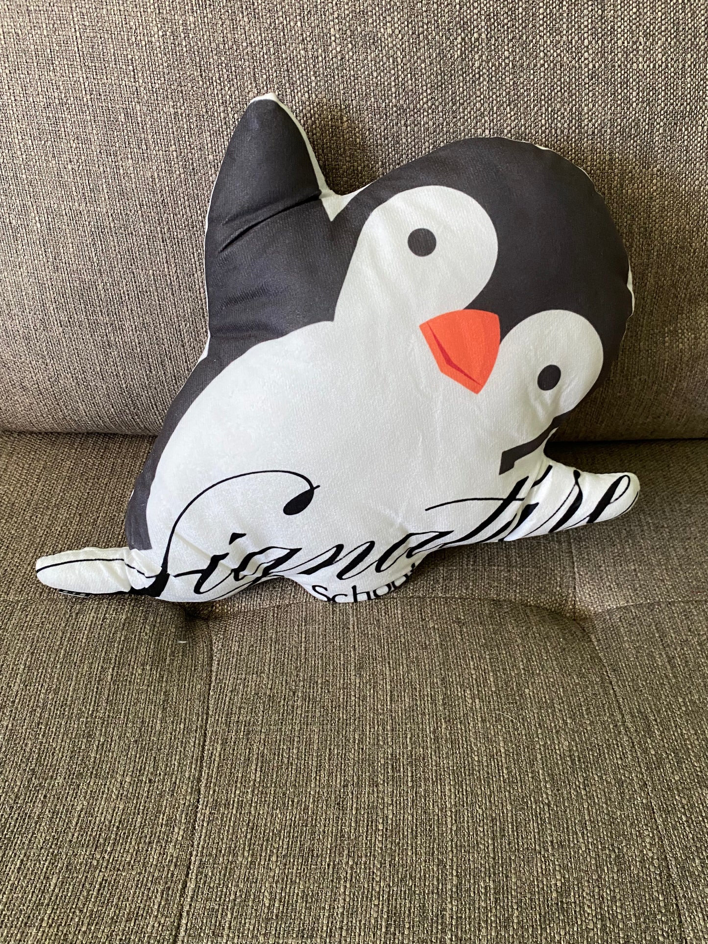 School Spirit Throw Pillows
