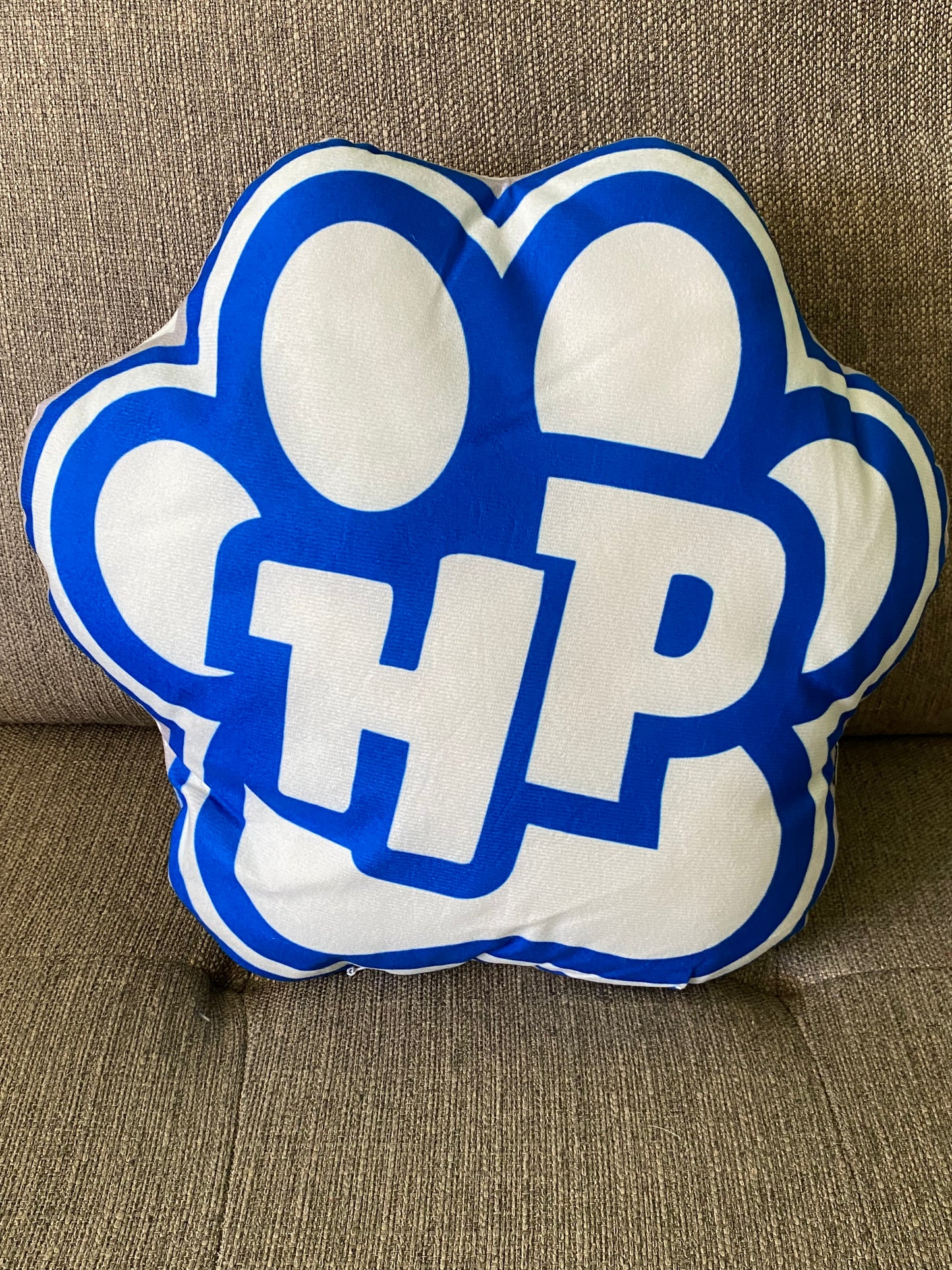 School Spirit Throw Pillows