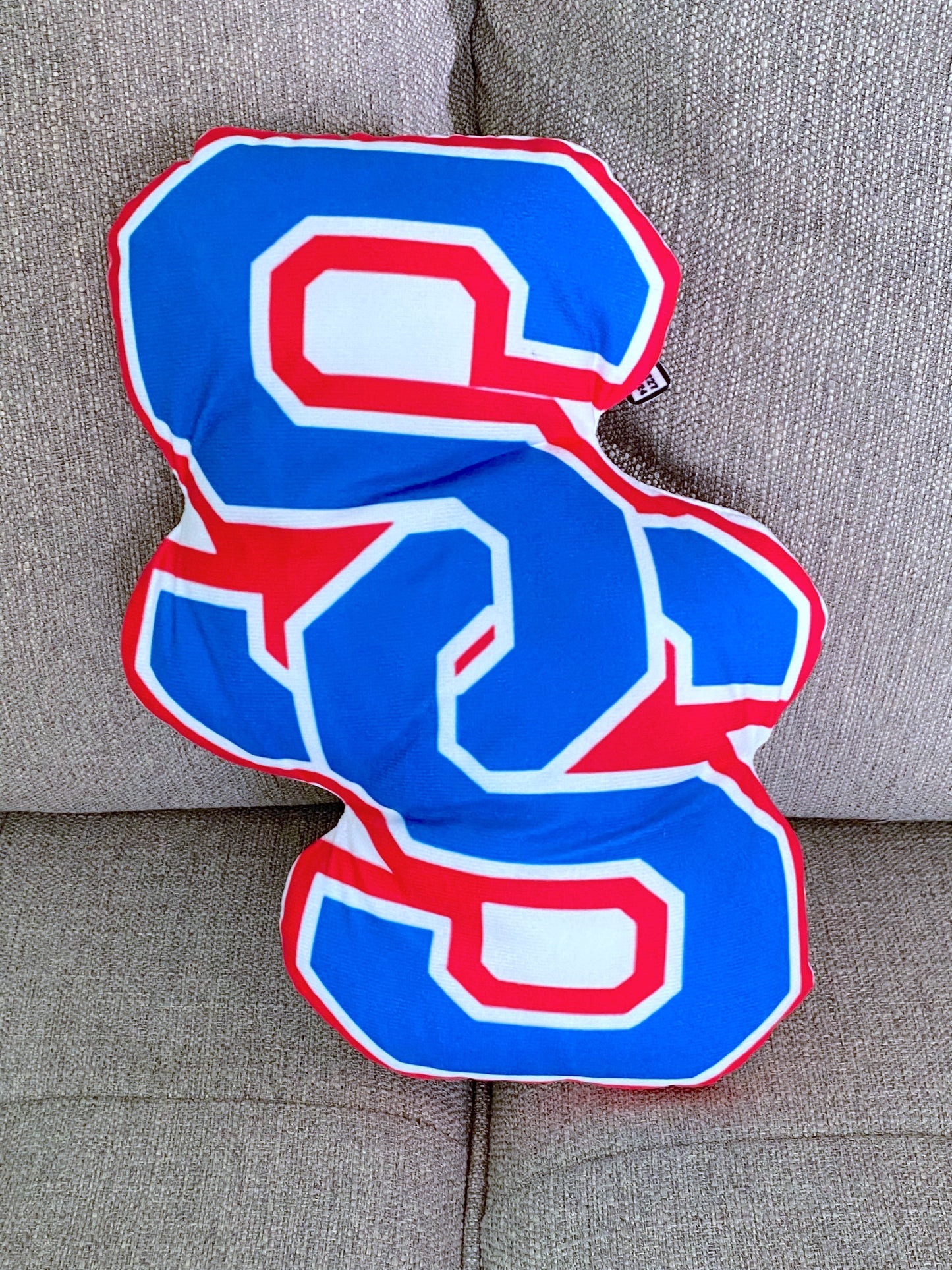 School Spirit Throw Pillows