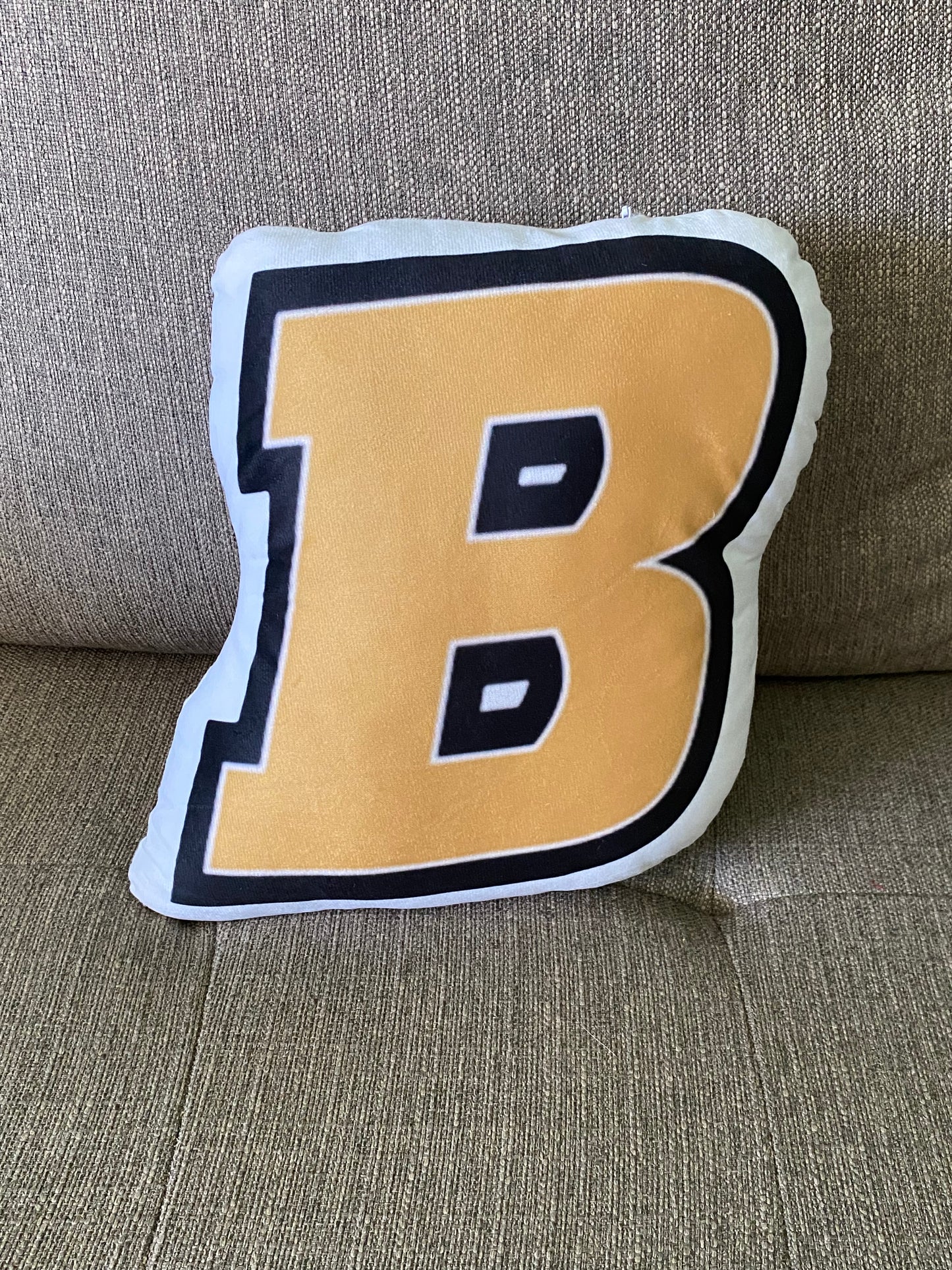 School Spirit Throw Pillows