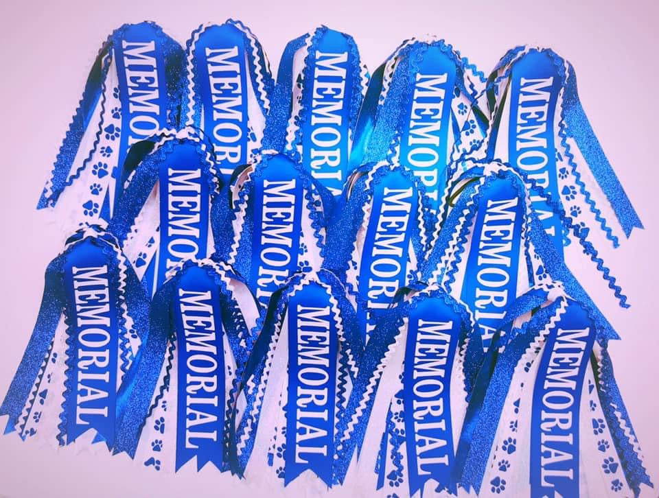 Pony Streamer (custom)