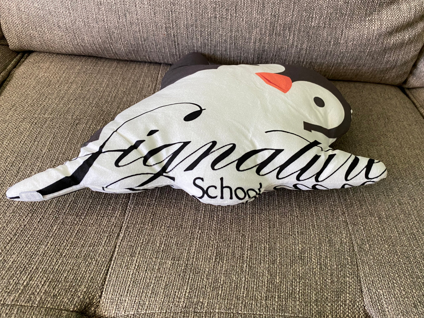 School Spirit Throw Pillows