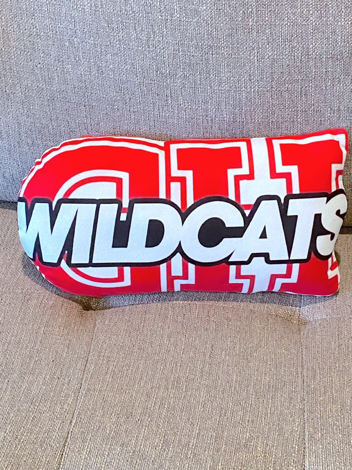 School Spirit Throw Pillows