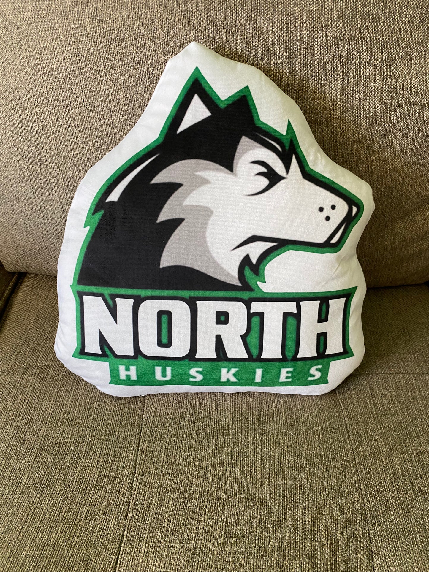 School Spirit Throw Pillows