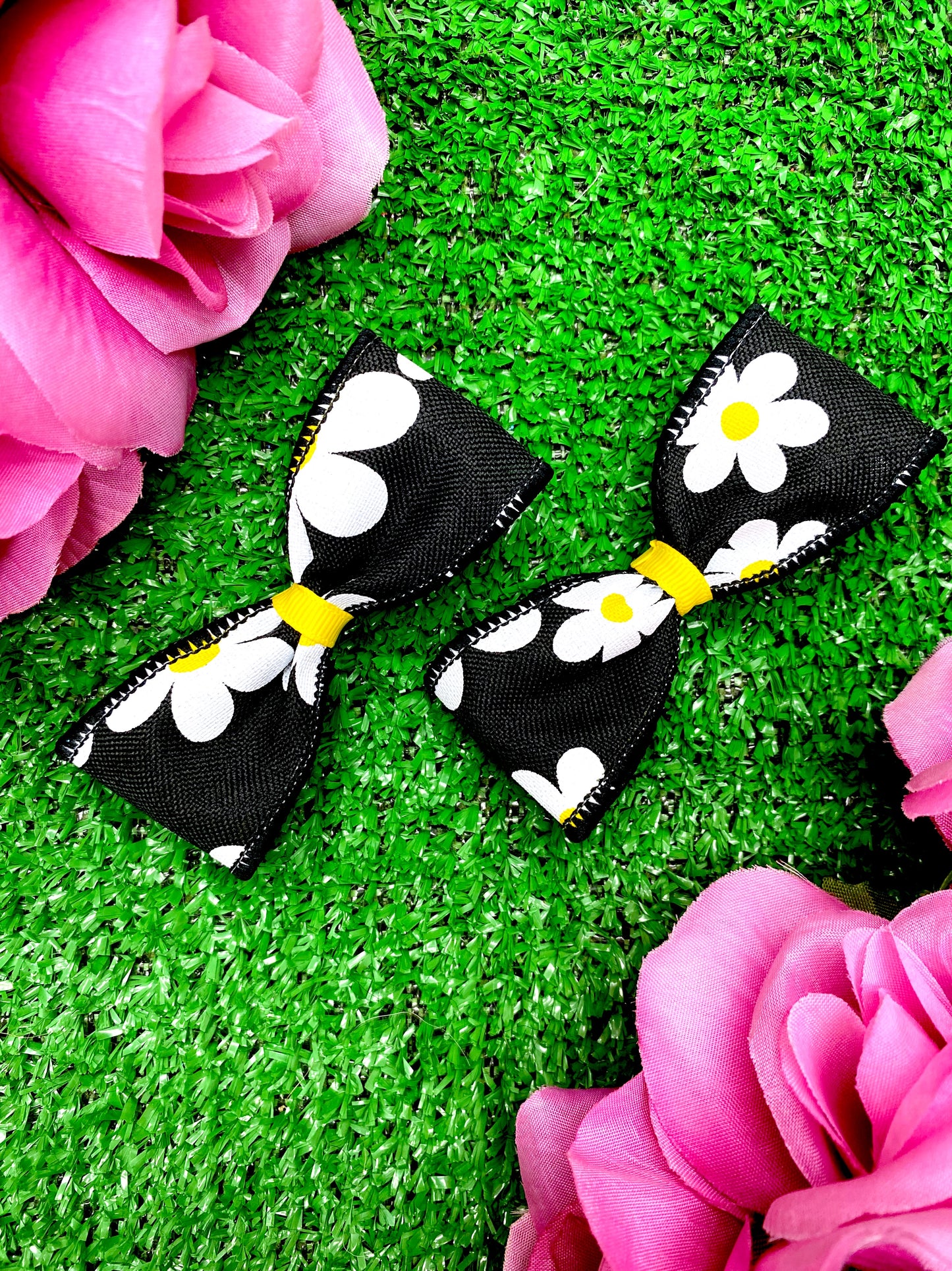 Black Daisies
