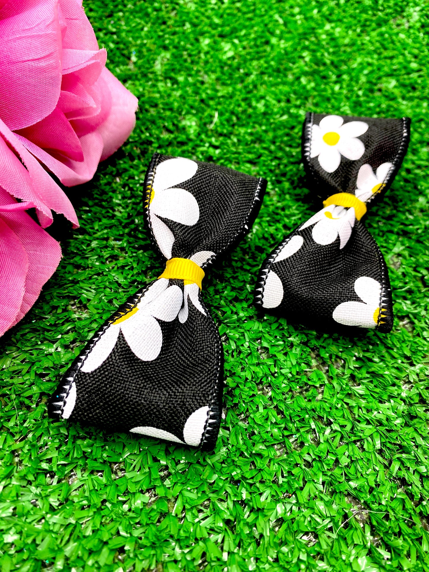 Black Daisies