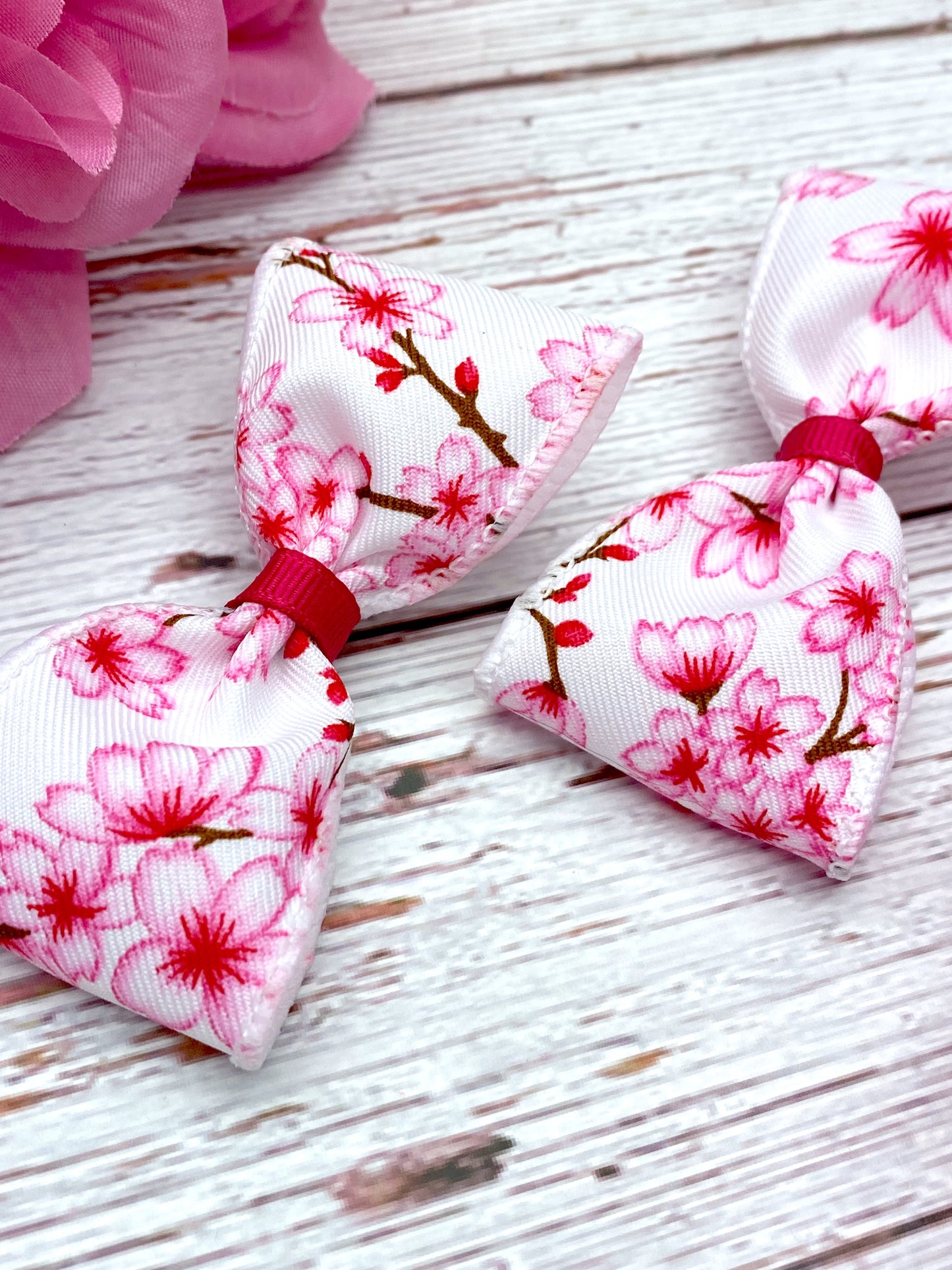 Cherry Blossoms