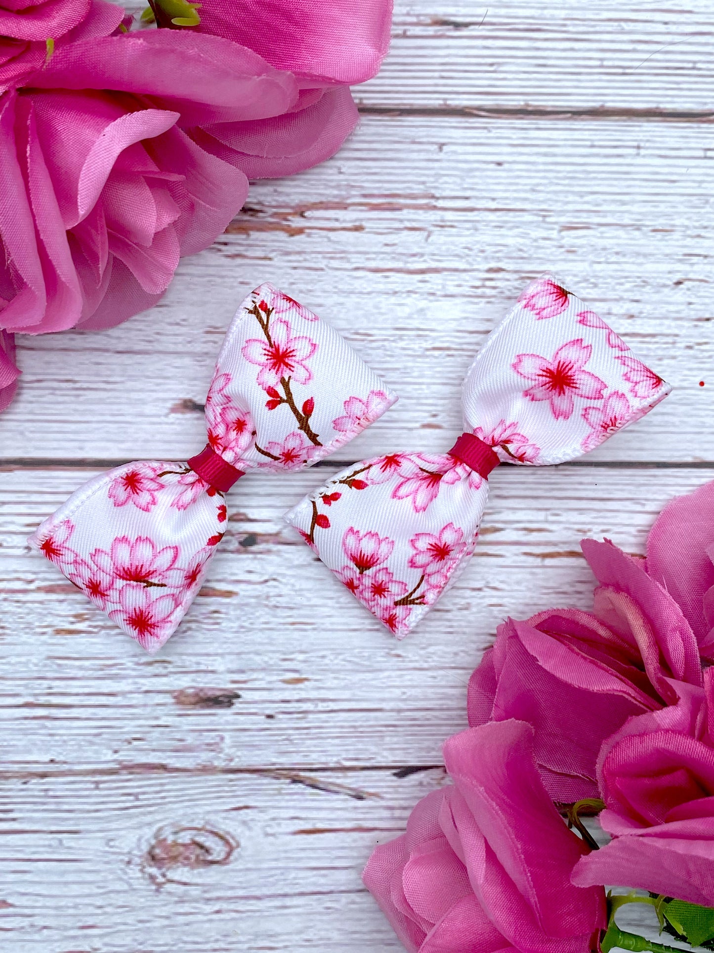 Cherry Blossoms