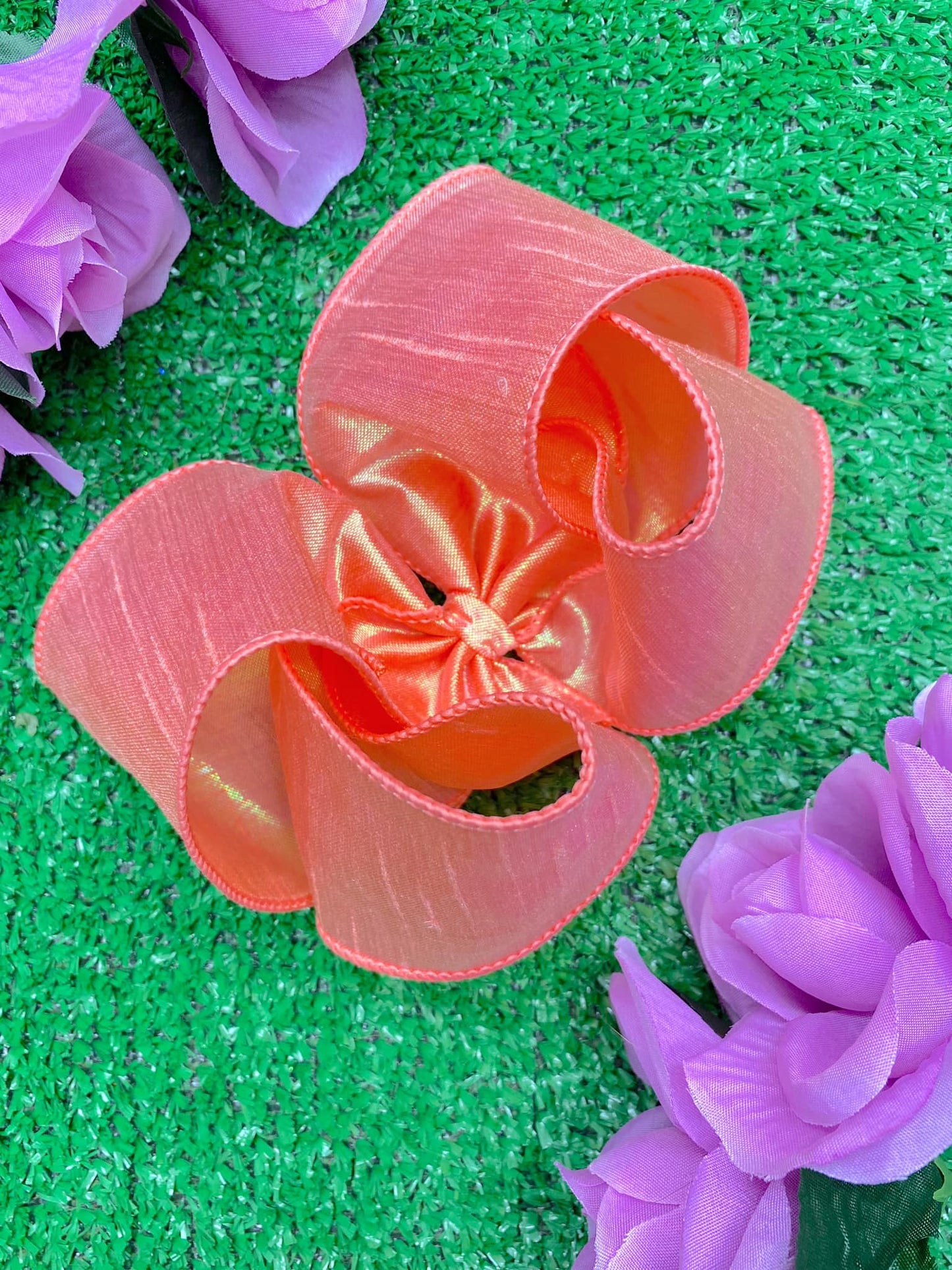 Ocean Sunset Coral