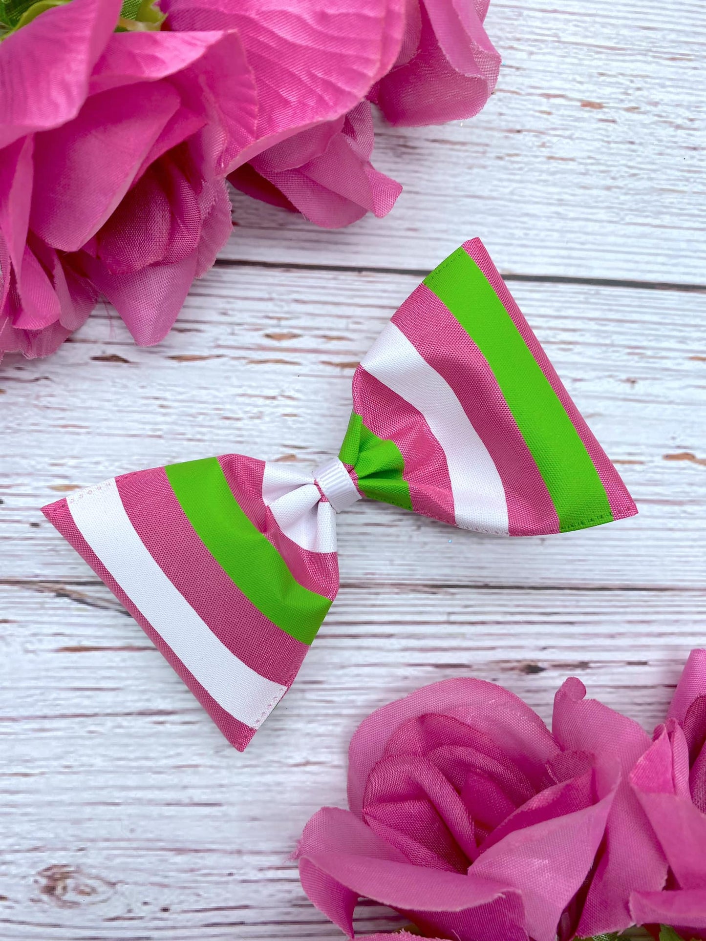 Watermelon Punch