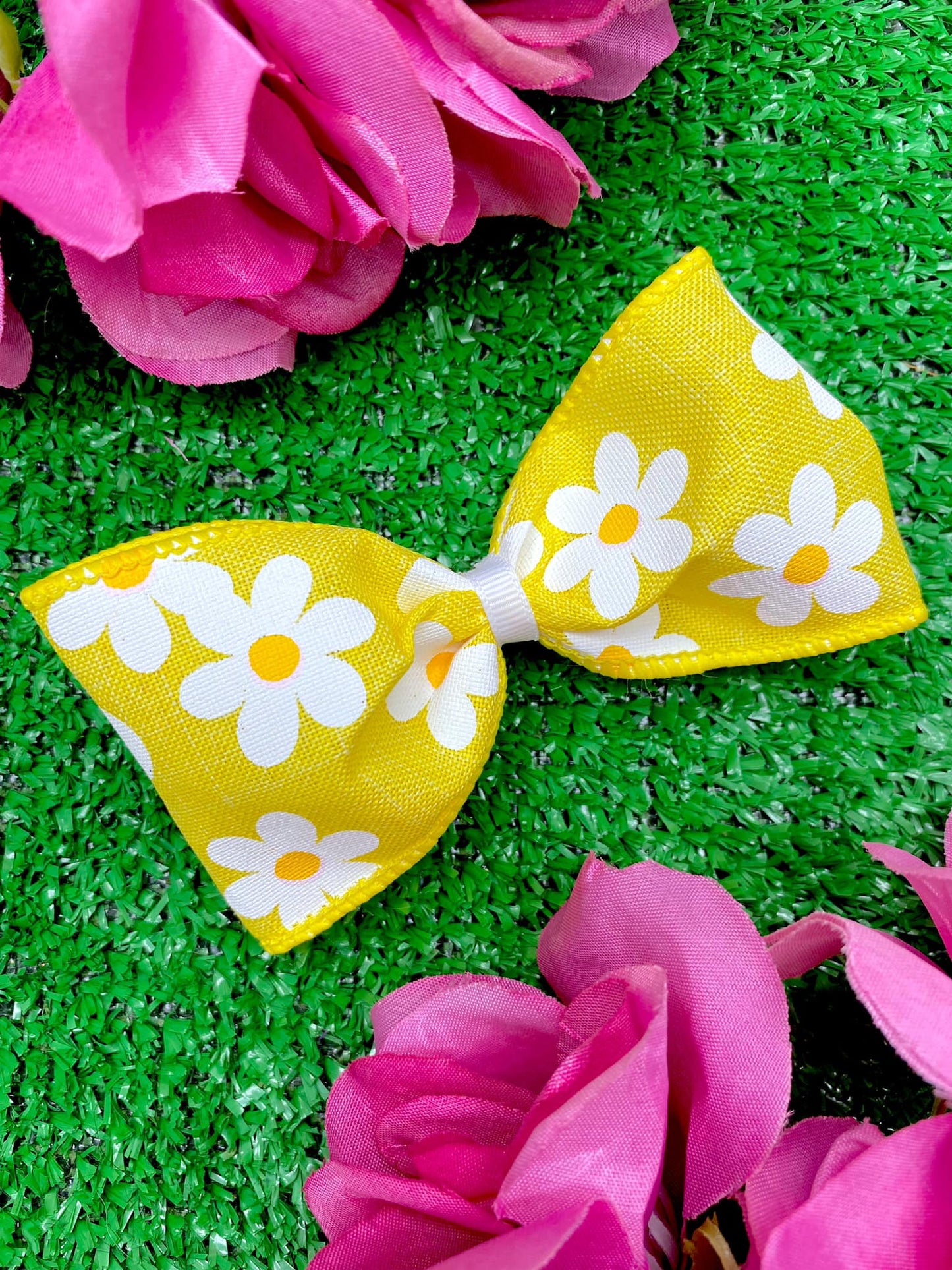 Yellow Daisies