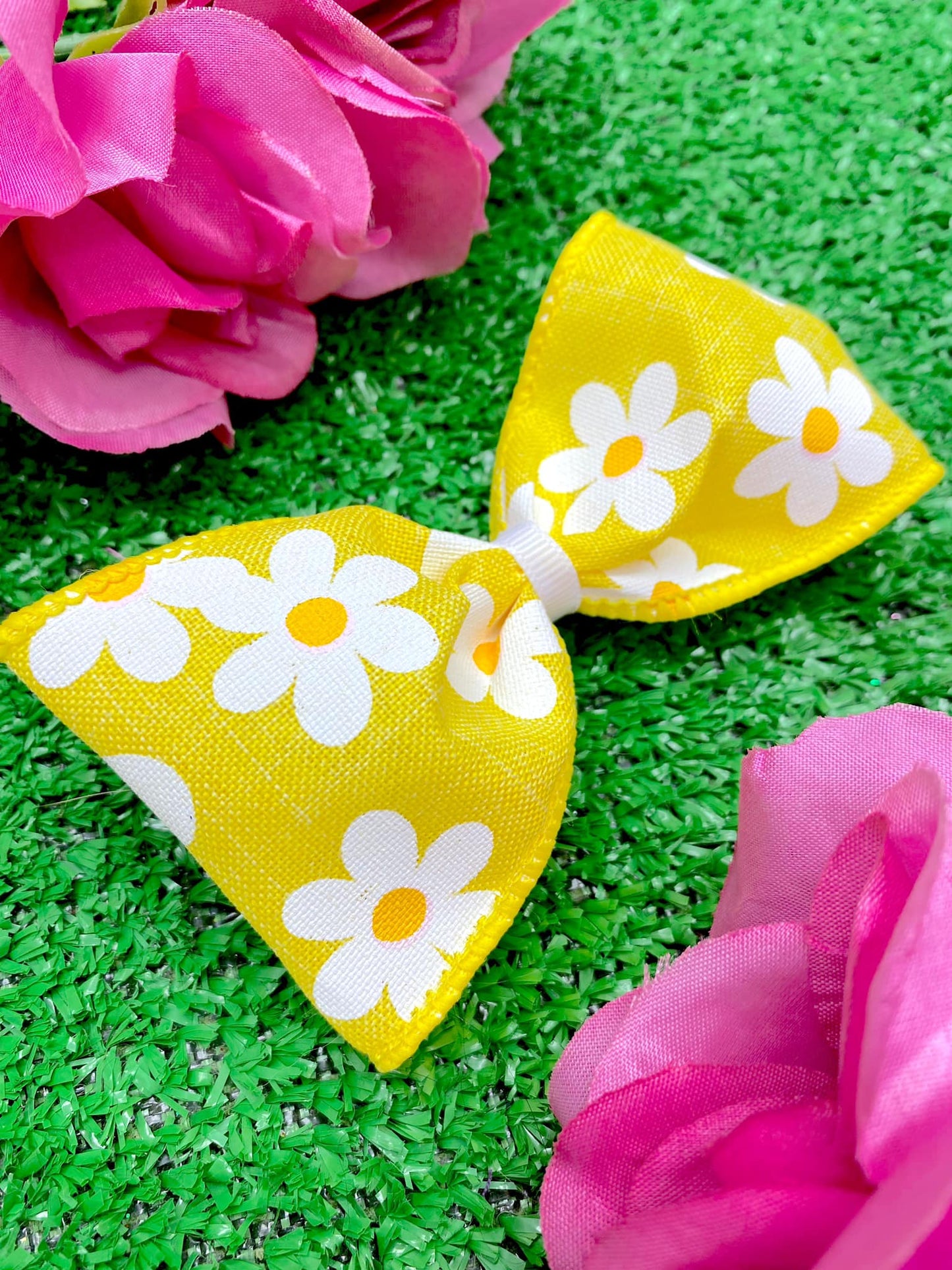 Yellow Daisies