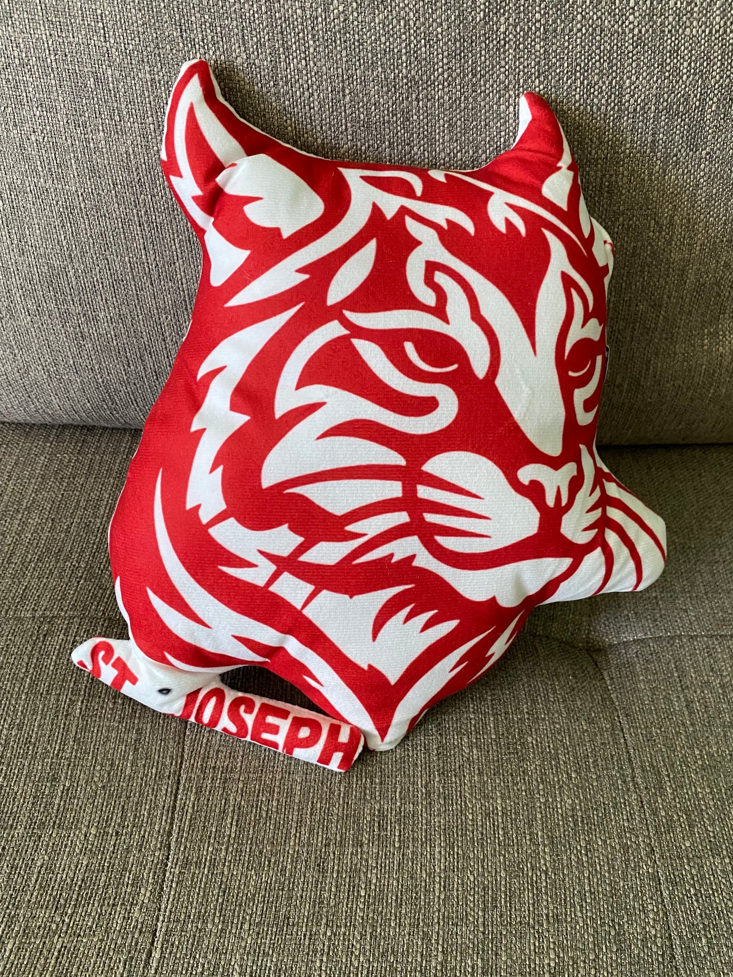 School Spirit Throw Pillows