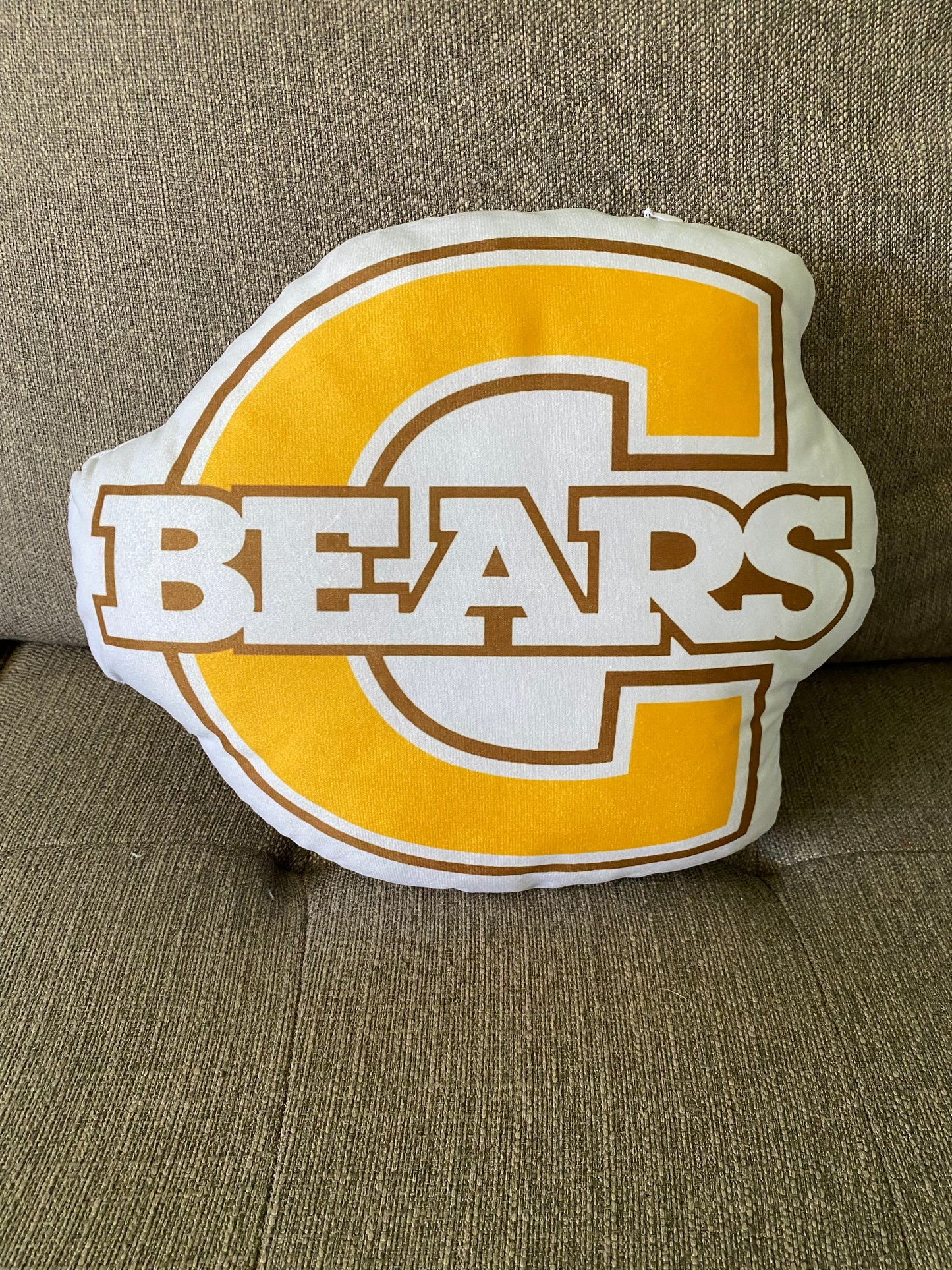 School Spirit Throw Pillows