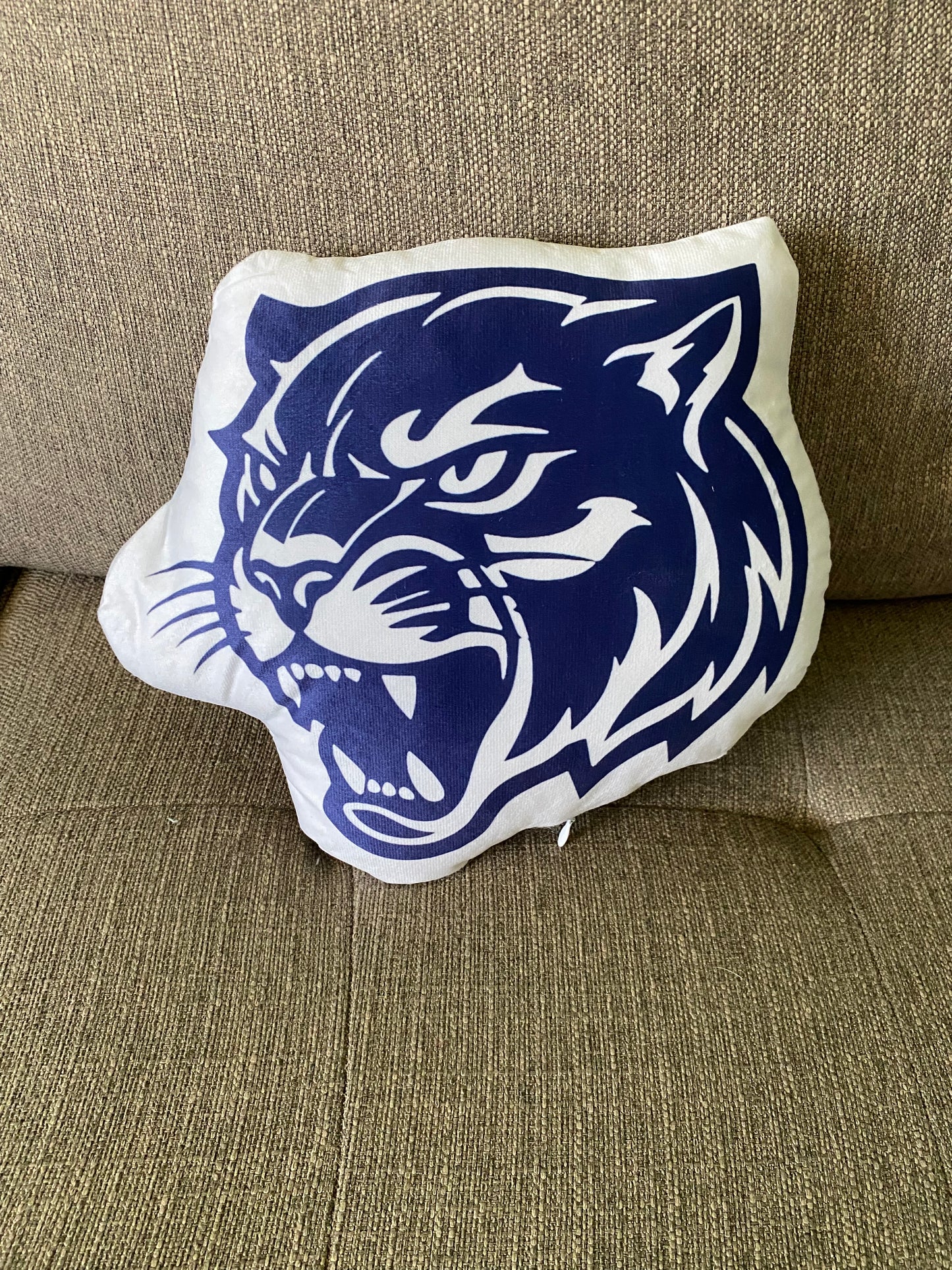 School Spirit Throw Pillows