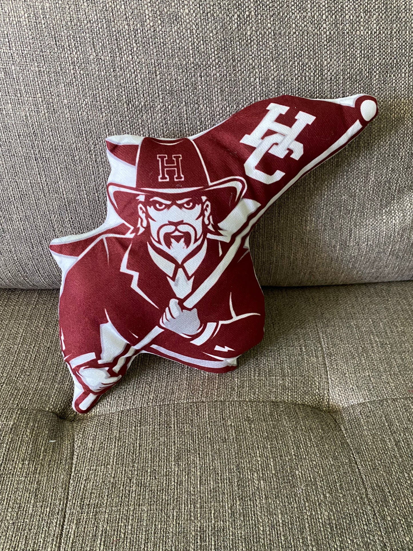 School Spirit Throw Pillows