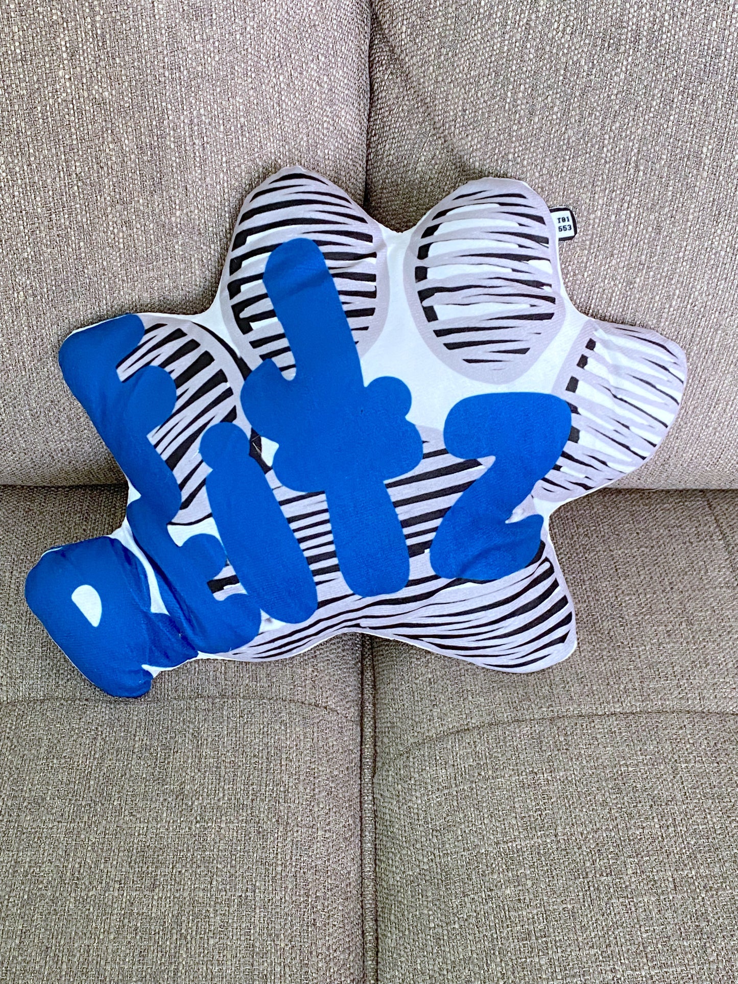 School Spirit Throw Pillows