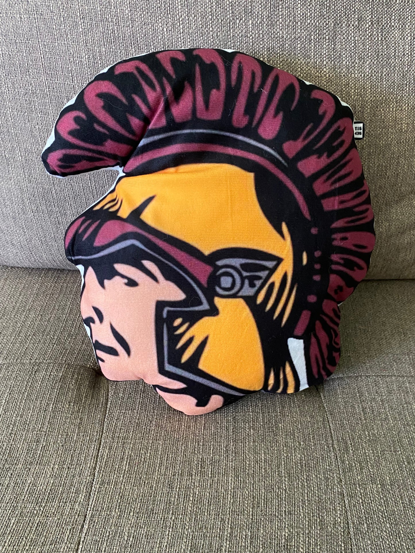 School Spirit Throw Pillows