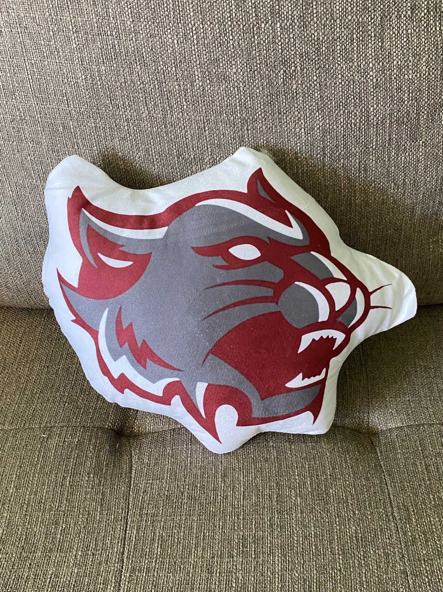 School Spirit Throw Pillows