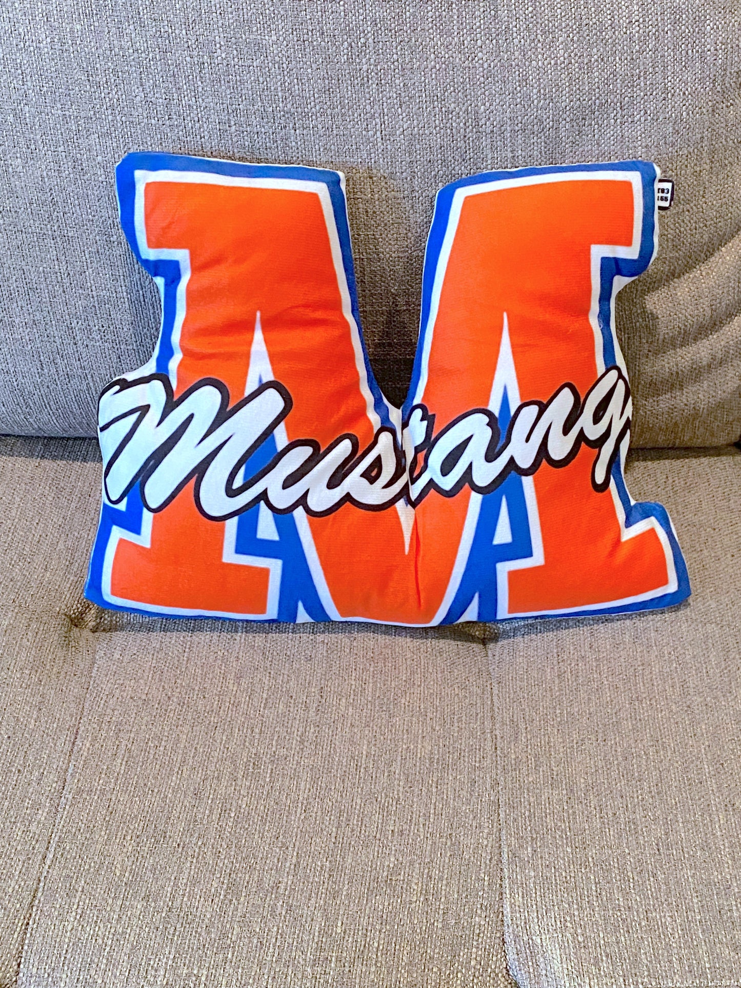 School Spirit Throw Pillows