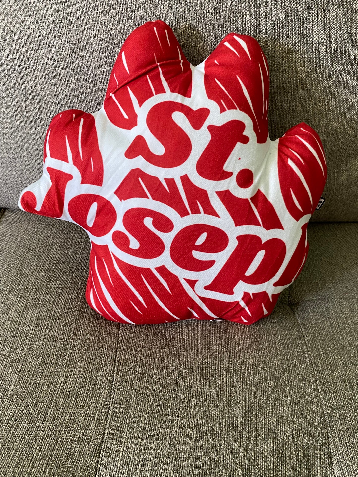 School Spirit Throw Pillows