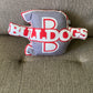 School Spirit Throw Pillows