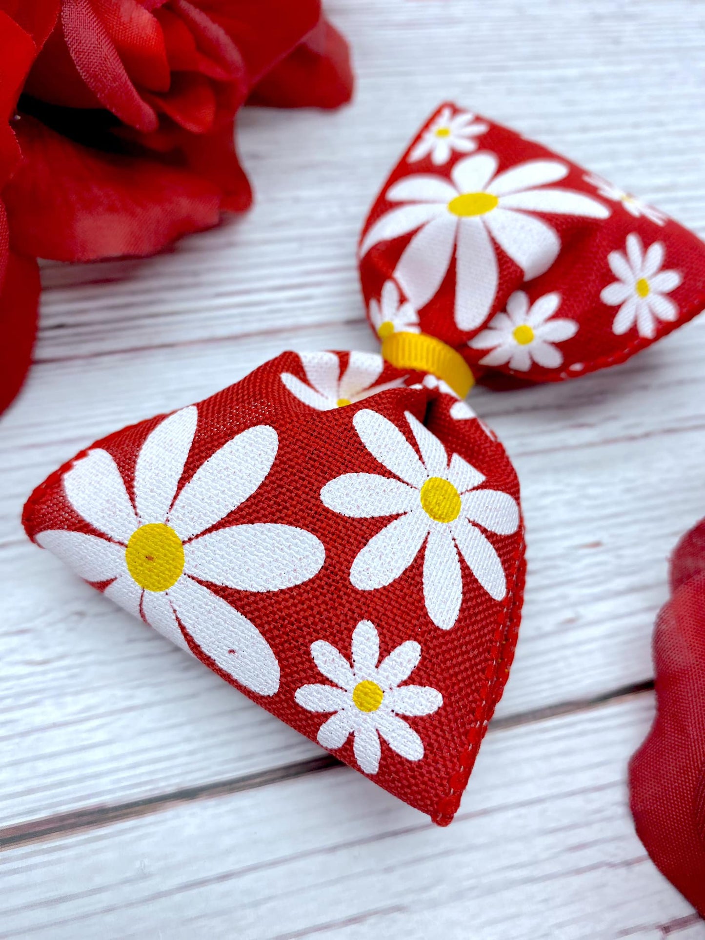 Red Daisies